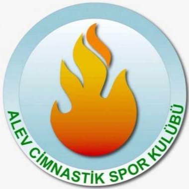 Логотип организации Alev gymnasts